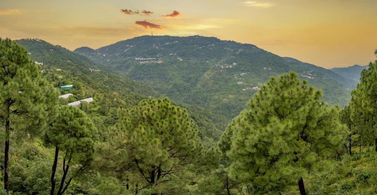 The Western Heights I Serviced Apartments I Pvt Balcony I Lift I Peacefull Area I Family Accomodation I Kasauli I By Exotic Stays Exterior photo