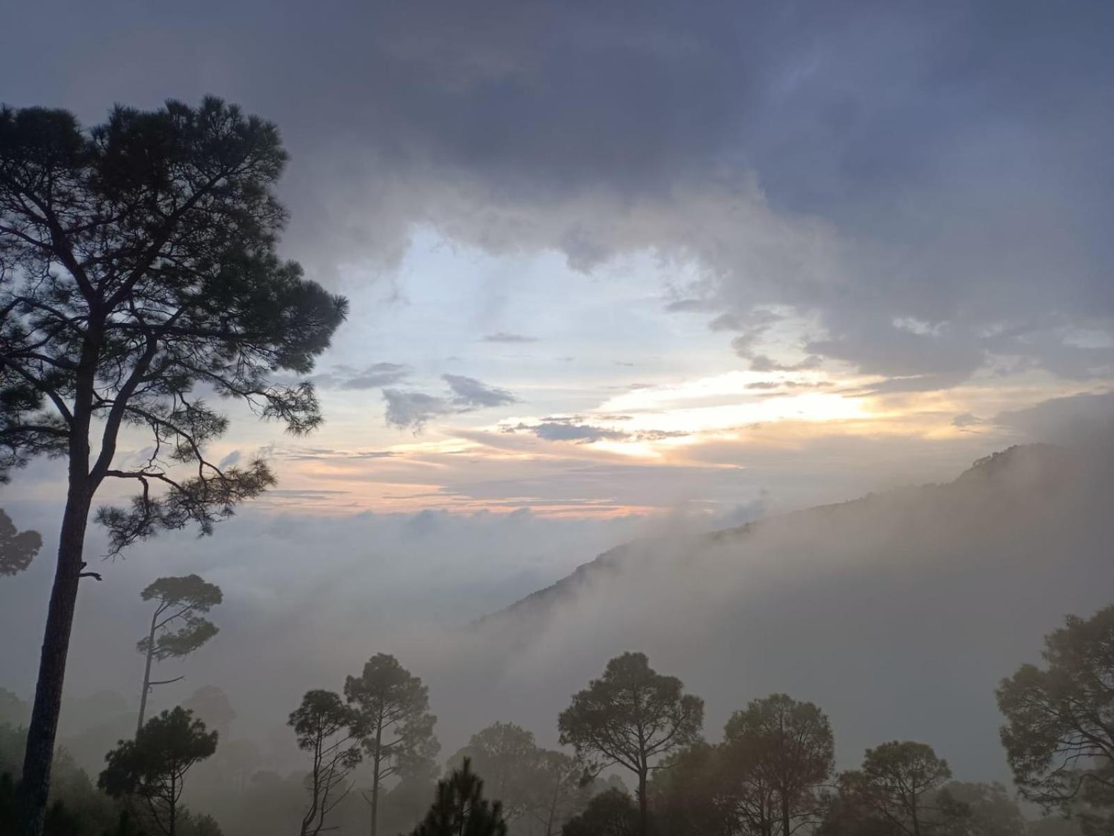 The Western Heights I Serviced Apartments I Pvt Balcony I Lift I Peacefull Area I Family Accomodation I Kasauli I By Exotic Stays Exterior photo